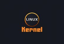 Linux Kernel