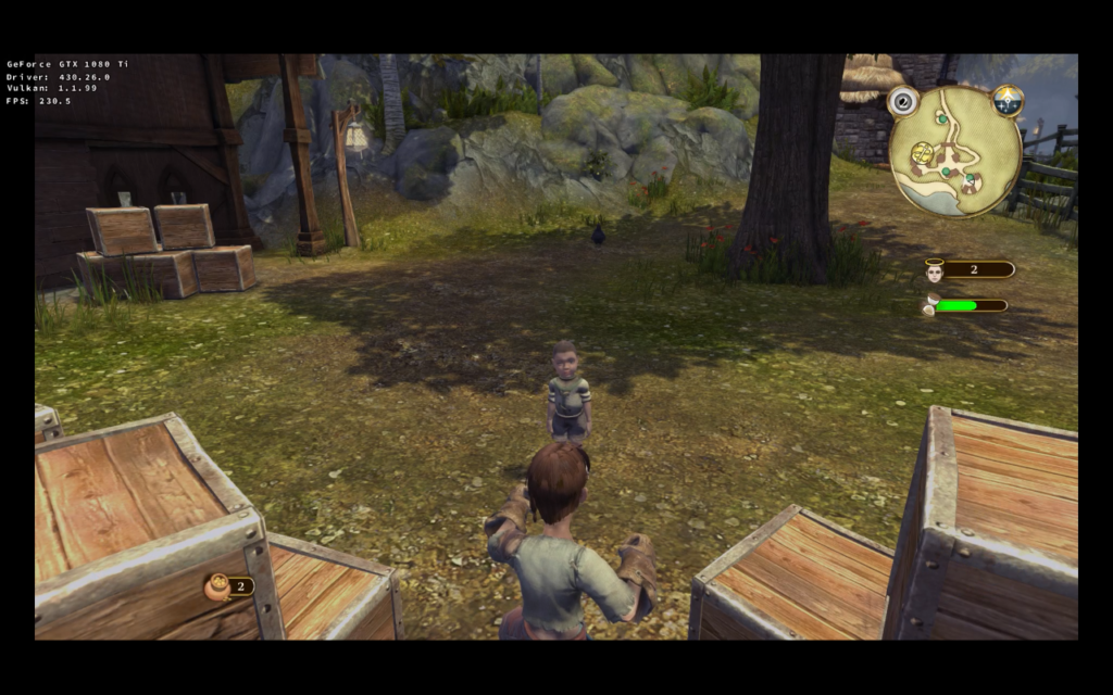 Fable Anniversary D9VK Wine Linux