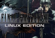 Final Fantasy XV Linux DXVK Wine
