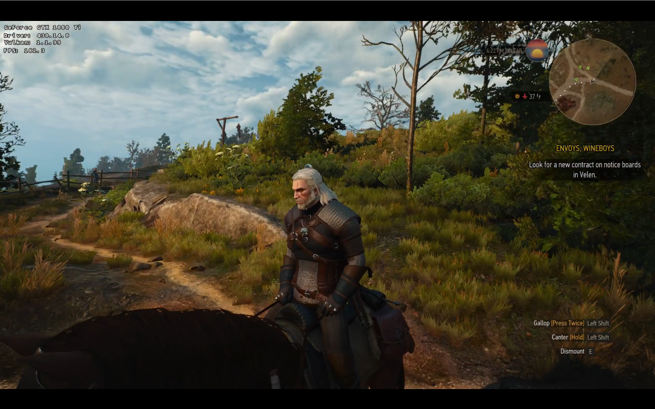 The Witcher 3 Linux DXVK Wine