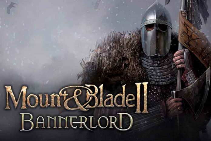 Mount & Blade II: Bannerlord Linux DXVK Wine